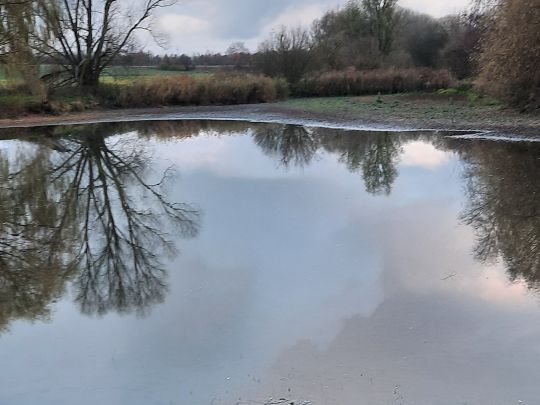 Dorfteich Nordgermersleben-1