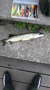 Juessee (Herzberg am Harz)-2