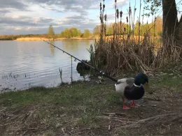 Nordstrand (Erfurt)-1