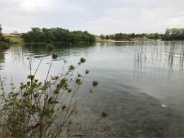 Nordstrand (Erfurt)-3