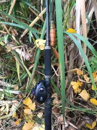 Nordstrand (Erfurt)-2