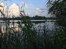 Nordstrand (Erfurt)-4