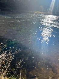 Schwarzer Regen (Teisnach)-1