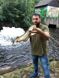 Allerkanal (Gifhorn)