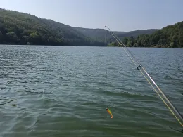 Eder (Vöhl-Herzhausen)