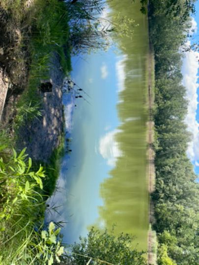 Rotes Meer (Großzössen)-4