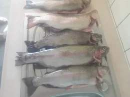 Forellenhof Trauntal-1