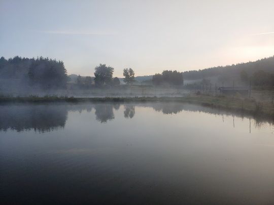 Forellenhof Trauntal-4