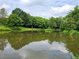 Weddelsee (Medebach)-4