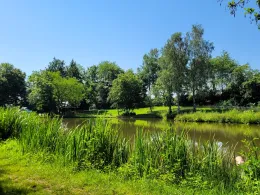 Weddelsee (Medebach)-3