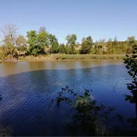 Hammateich (Sondershausen)