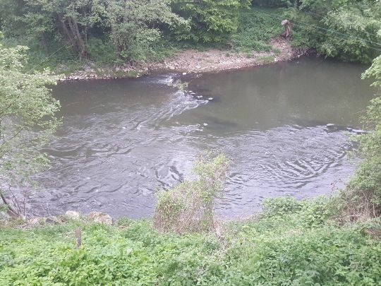 Lahn (Wißmar)