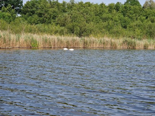 Pfählingsee (Dabendorf)-1