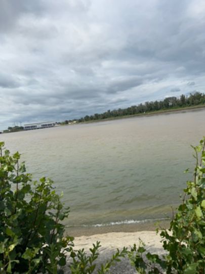 Grand canal d'Alsace (Fessenheim)-1