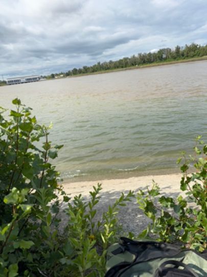 Grand canal d'Alsace (Fessenheim)