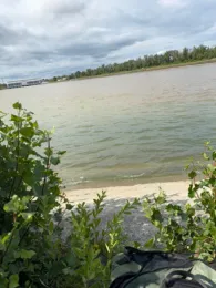 Grand canal d'Alsace (Fessenheim)