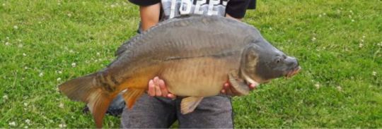 Nachtallmendsee (Kenzingen)-2