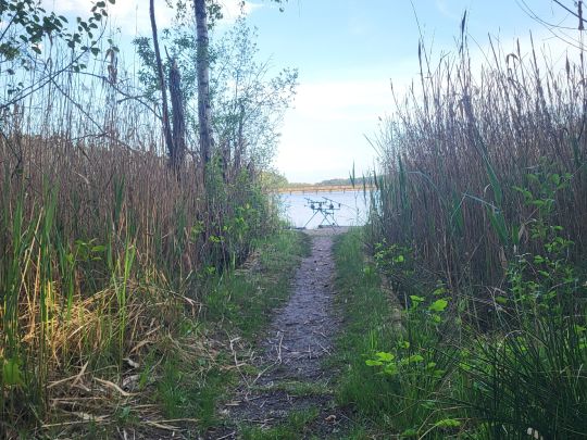 Braunsteich (Weißwasser)-4