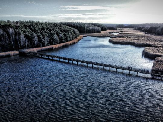 Braunsteich (Weißwasser)-3