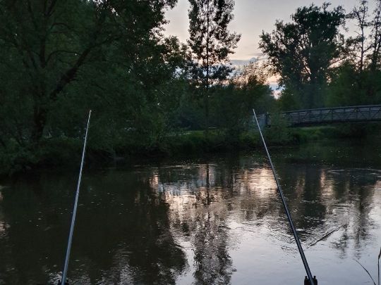 Rednitz (Fürth) angeln