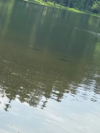 Talsperre Scheibe-Alsbach