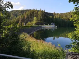 Talsperre Scheibe-Alsbach-1