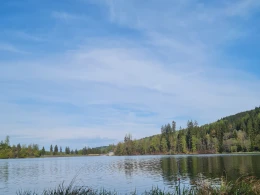Talsperre Scheibe-Alsbach-3