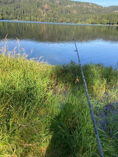 Talsperre Scheibe-Alsbach-2