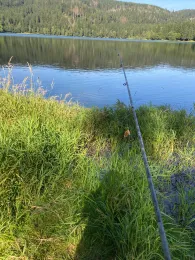 Talsperre Scheibe-Alsbach-2