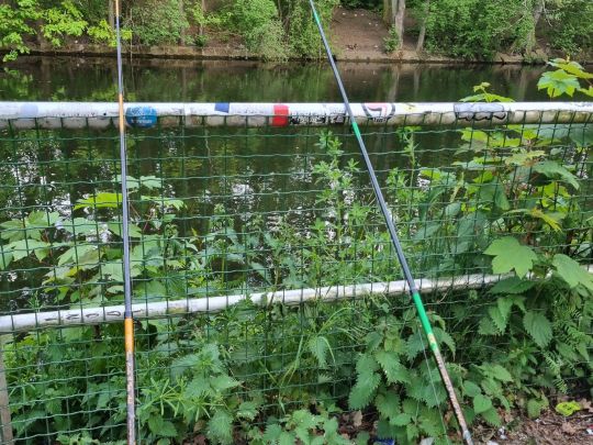 Landwehrkanal (Berlin-Treptow)-1