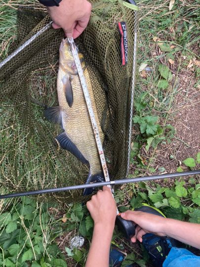 Landwehrkanal (Berlin-Treptow)-5