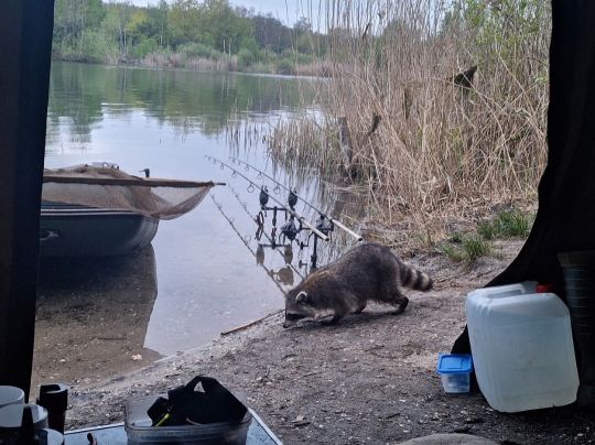 Postgrube (Grube Vergissmeinnicht)-3