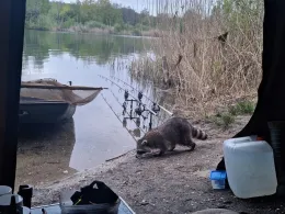 Postgrube (Grube Vergissmeinnicht)-2