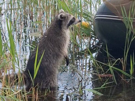 Postgrube (Grube Vergissmeinnicht)-2