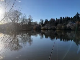 Hofteich (Crimmitschau)