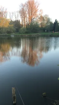 Fischbeker Teiche-4