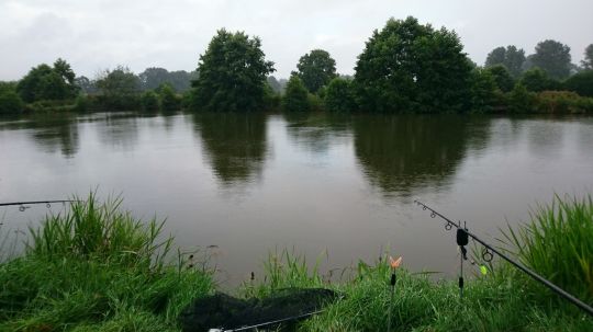 Fischbeker Teiche ALLE ANGELN