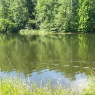 Glashütter Weiher (Rohrbach)-1