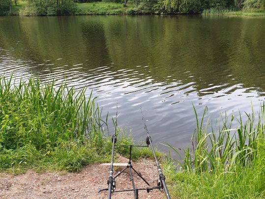Glashütter Weiher (Rohrbach)-5