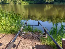 Glashütter Weiher (Rohrbach)-3