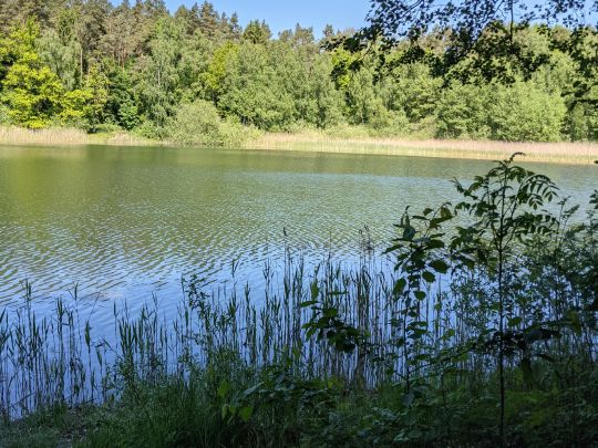 Roter See (Brüel)-1