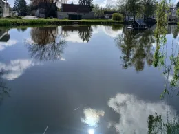 Warmsdorfer Teich-3