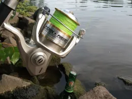 Main (Klingenberg am Main)-1