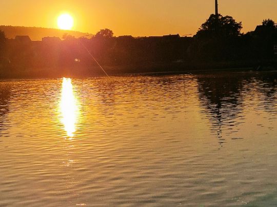 Main (Klingenberg am Main)-2