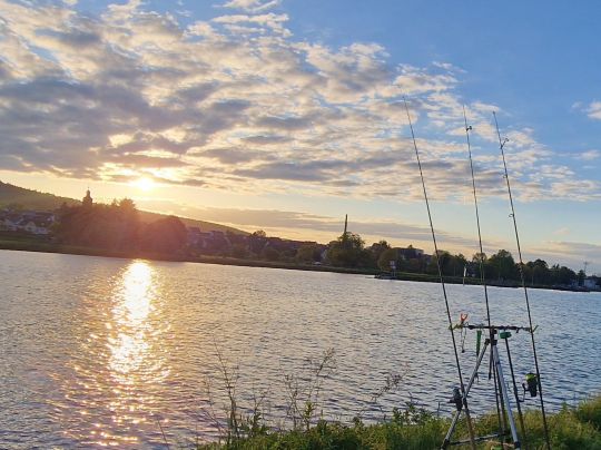 Main (Klingenberg am Main)-4