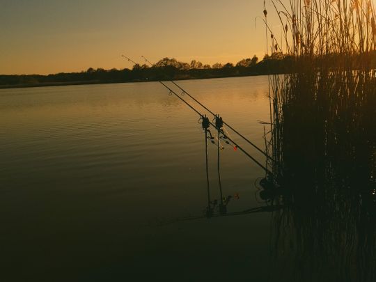 Neue Tongrube (Guttau)-4