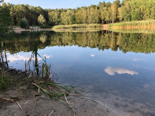 Kiesgrube (Grünefeld)-2