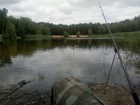 Kiesgrube (Grünefeld)-3