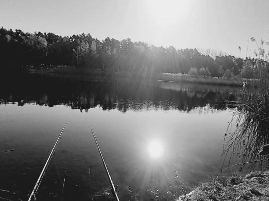 Kiesgrube (Grünefeld)-4