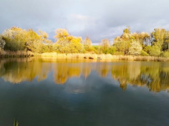 Grubenteich (Neidschütz)-1